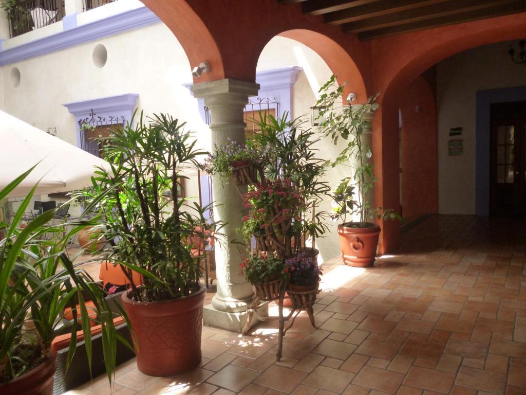 Hotel Trebol Oaxaca Room photo